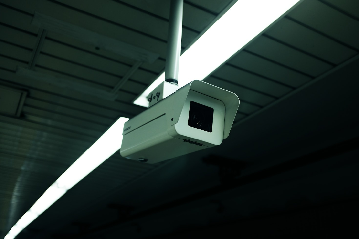 Why Modern Manufacturing Demands Automated Conveyor Systems